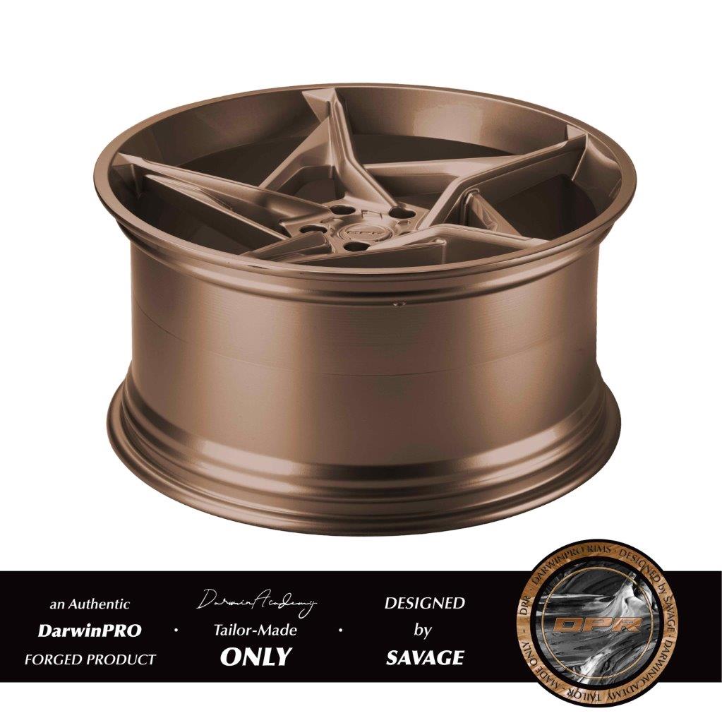 DPR-002 DarwinPRO-Rims | D-Monoblock