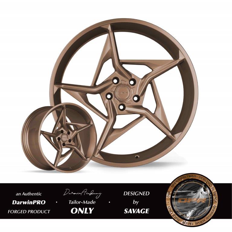 DPR-002 DarwinPRO-Rims | D-Monoblock