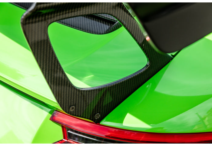 1016 Carbon Wing Legs for 991.2 GT3 RS - [The Exotic Hub]